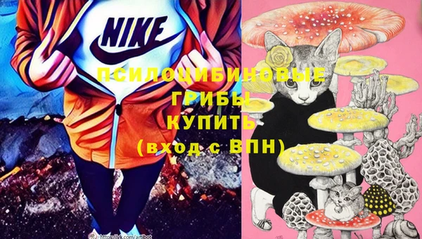 ешки Надым