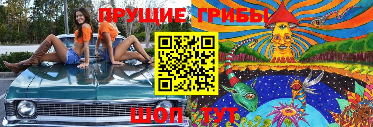 Галлюциногенные грибы MAGIC MUSHROOMS  Вход с VPN  Анапа 